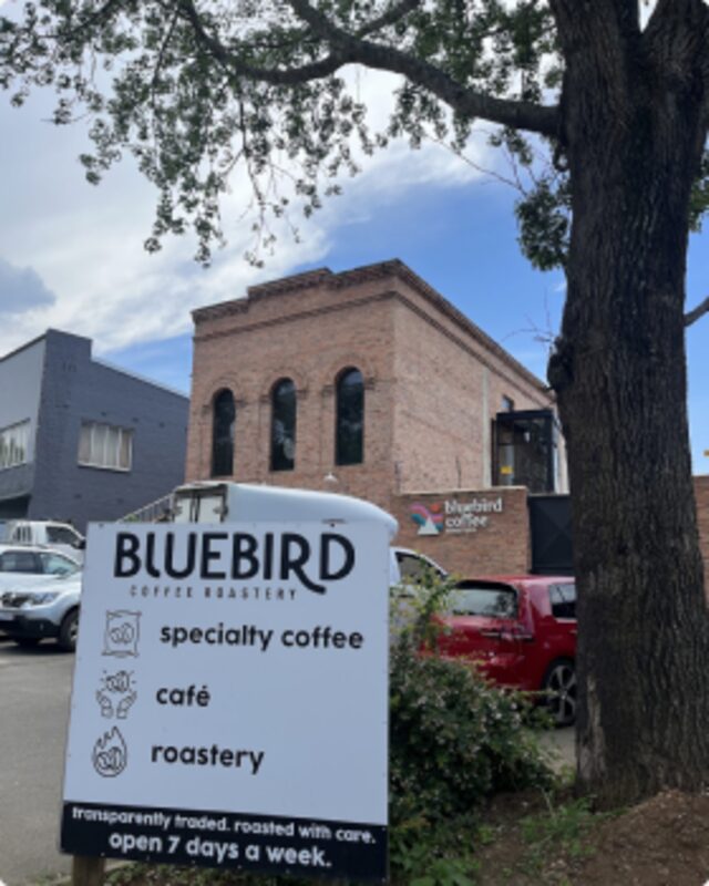 Bluebird